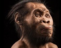 [Biz Online Insights] What SA thinks of the Homo naledi discovery
