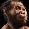 [Biz Online Insights] What SA thinks of the Homo naledi discovery