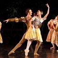 Giselle to dazzle dance lovers