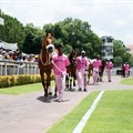A wide range of entertainment at the Sansui Summer Cup