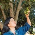 A thriving future: exciting opportunities for SA's sub-tropical fruit and nut producers