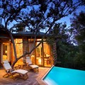 Deluxe adult treehouse hideaway for the discerning