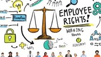 Comparing South African Labour Law and global practice