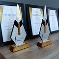 iKineo's clutch of 2015 Assegai Award wins