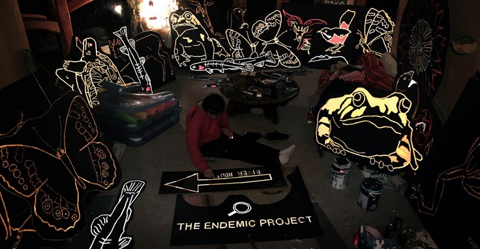 Elements of the Endemic Project, in studio
