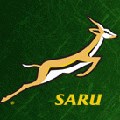 SA Rugby Player of the Year nominations announced