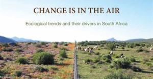 Changes in ecosystems threaten Africa's savannas