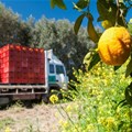 Transporting produce in SA - yesterday, today and tomorrow