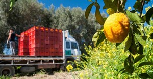 Transporting produce in SA - yesterday, today and tomorrow