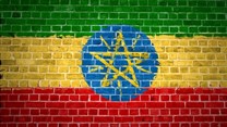 US calls for Ethiopia to free jailed journos