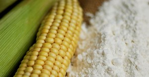 SA to import maize after driest season in 100 years