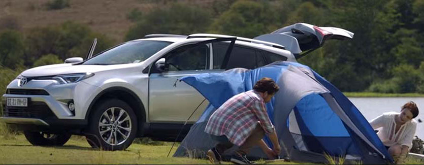 Household tabby takes to Toyota RAV4 for adventure