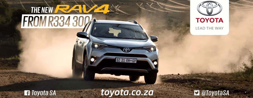 Household tabby takes to Toyota RAV4 for adventure
