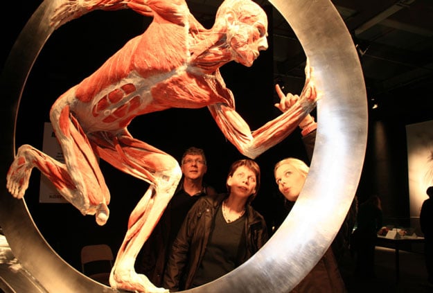 Body Worlds Vital exhibition to be held in Joburg