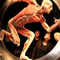 Body Worlds Vital exhibition to be held in Joburg