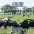 Energy efficient farming a crucial necessity