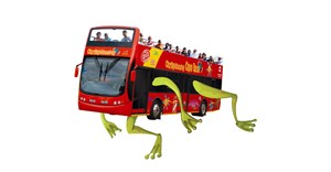Red Bus goes hopping mad this leap year