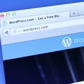Tools that make WordPress website development easy
