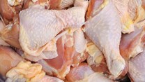 US chicken imports put BEE operation under pressure