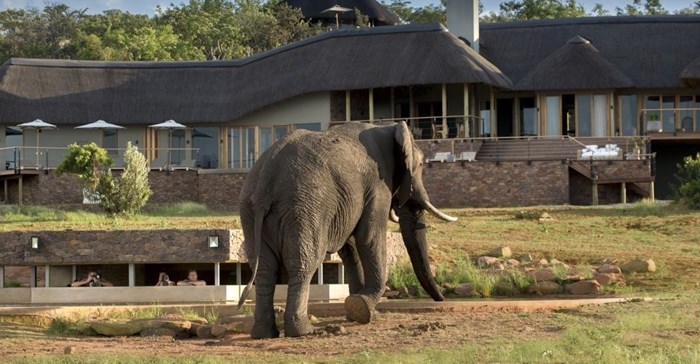 New game lodge open in Welgevonden Game Reserve