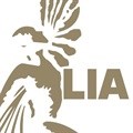 LIA adds Verbal Identity Medium to 2016 awards