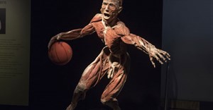 Body Worlds Vital exhibition to come to Cape Town