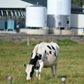 Supply issues to push milk prices up