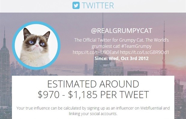 This cat could make more money from one tweet than you do at your day job