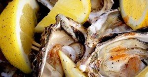 Pick n Pay Knysna Oyster Festival is back
