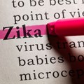 Learnings from Zika and reproductive rights in Africa
