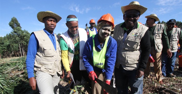 Eastern Cape forestry commercialisation drive to grow small businesses
