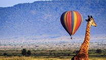 21 reasons why you should go on a balloon safari in the Masai Mara