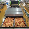 Tru-Cape invests in new technologies for higher sorting intelligence