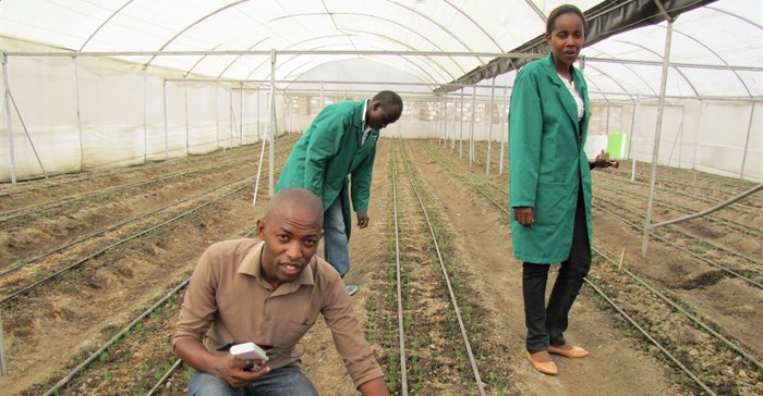 #AfricaMonth: Adopting a new mentality to small-scale farming
