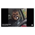The Chewbacca mask and the power of social media in retail