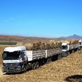 Bencor Boerdery’s 10 transport vehicles leaving Zuivergoud Farm in unison for Hluhluwe - Photo credited to Jonathan Burton