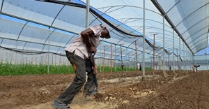 Agriculture presents most employment opportunities