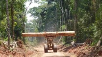 Roads built for logging in the Congo Basin have implications for forest management. Fritz Kleinschroth