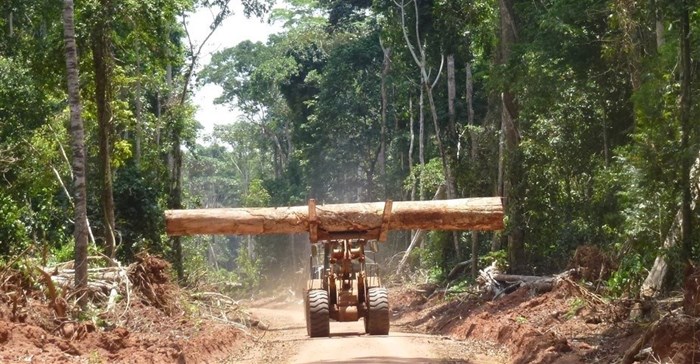 Roads built for logging in the Congo Basin have implications for forest management. Fritz Kleinschroth