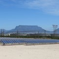 South African wines go green with solar