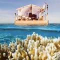 Spend a night at the Great Barrier Reef
