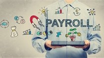 Professional personality traits of payroll practitioners