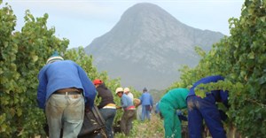 #WeeklyWineWrap: SA wine industry could add 100,000+ jobs by 2025