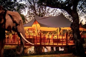 Elephant Café launches on the banks of the Zambezi