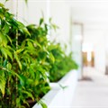 How 'greening' your hotel can benefit your bottom line