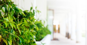 How 'greening' your hotel can benefit your bottom line