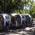 Rickshaw gets upgrade with hemp sidecar