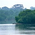 DR Congo to scrap illegal China logging contracts