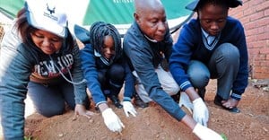 #MandelaMonth: SANParks gets green-fingered this Mandela Day