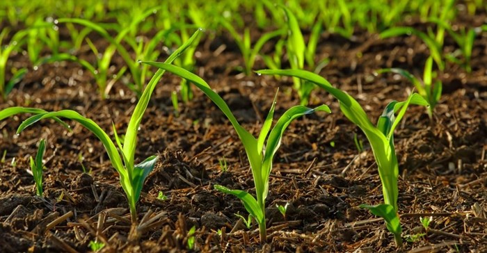 Five fundamentals for sustainable agricultural business